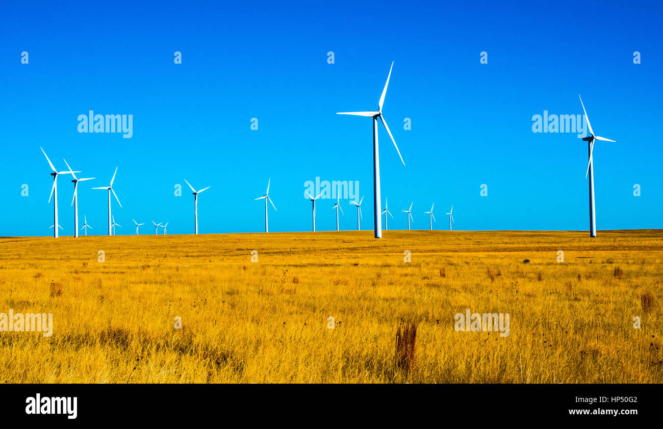 Le turbine eoliche sulla pianura orientale, Colorado Foto Stock