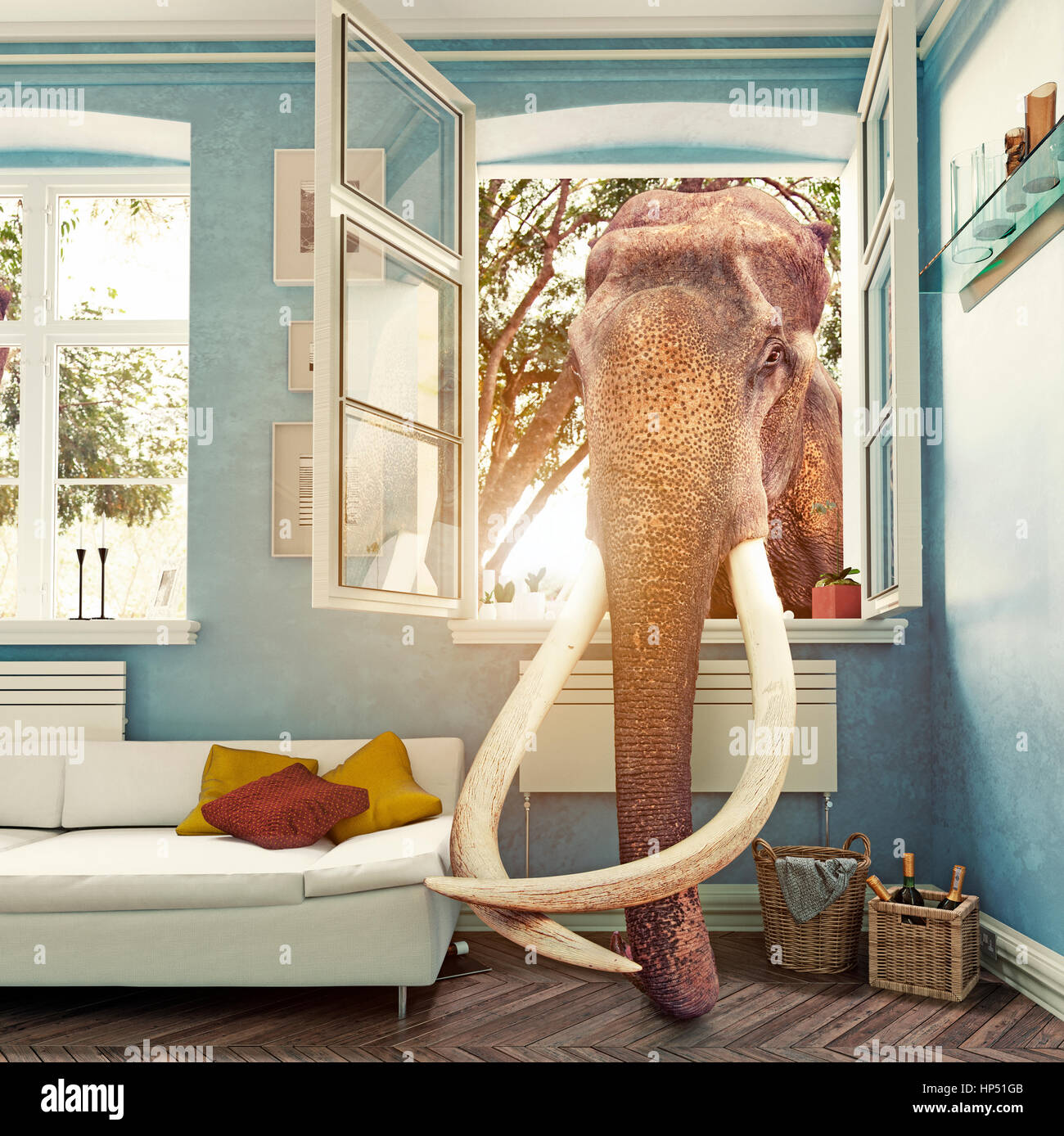 L'elefante nella finestra della camera, foto combinazione di concetto Foto Stock
