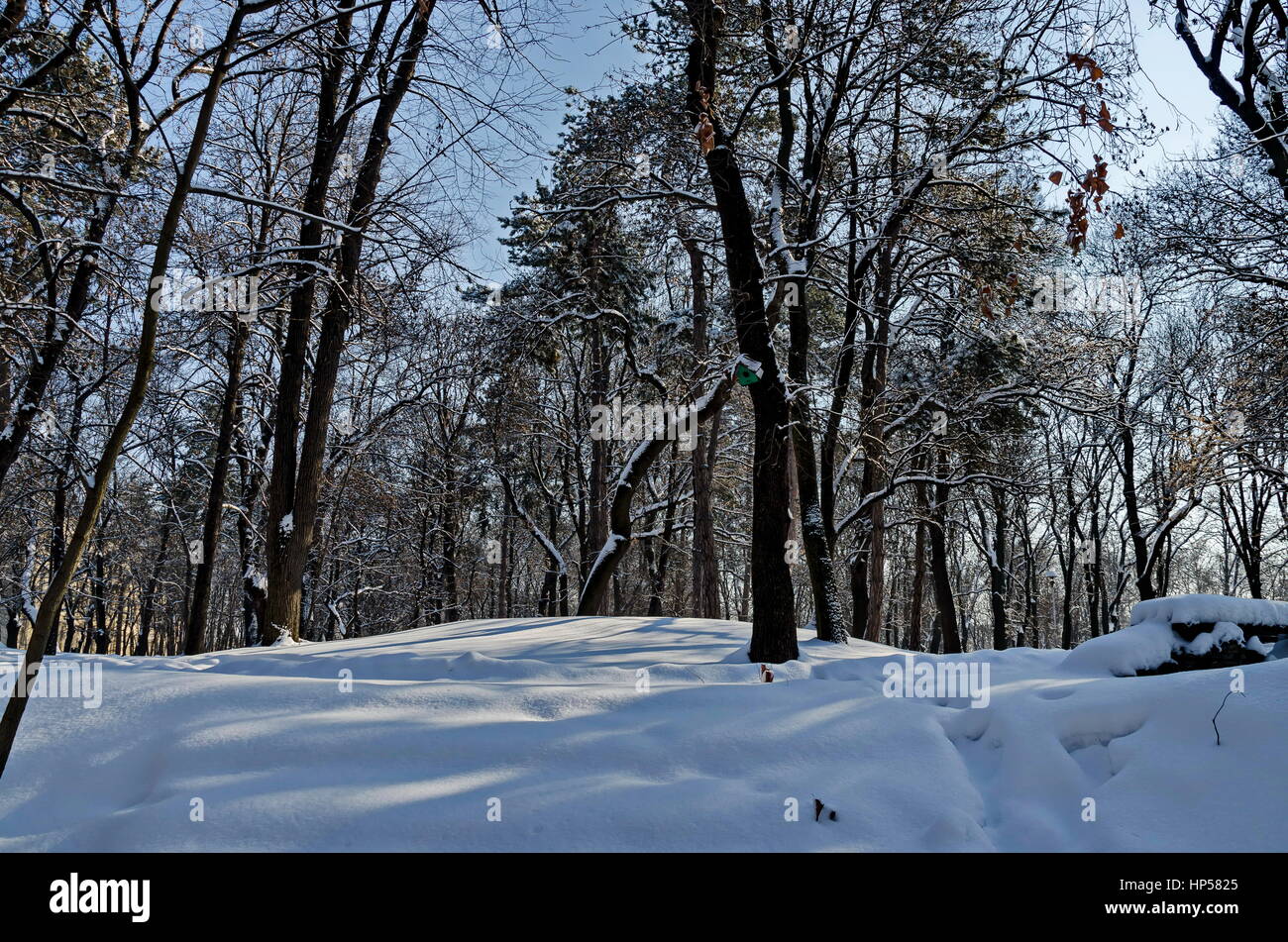 Inverno giardino di neve nel parco di Sofia, Bulgaria Foto Stock