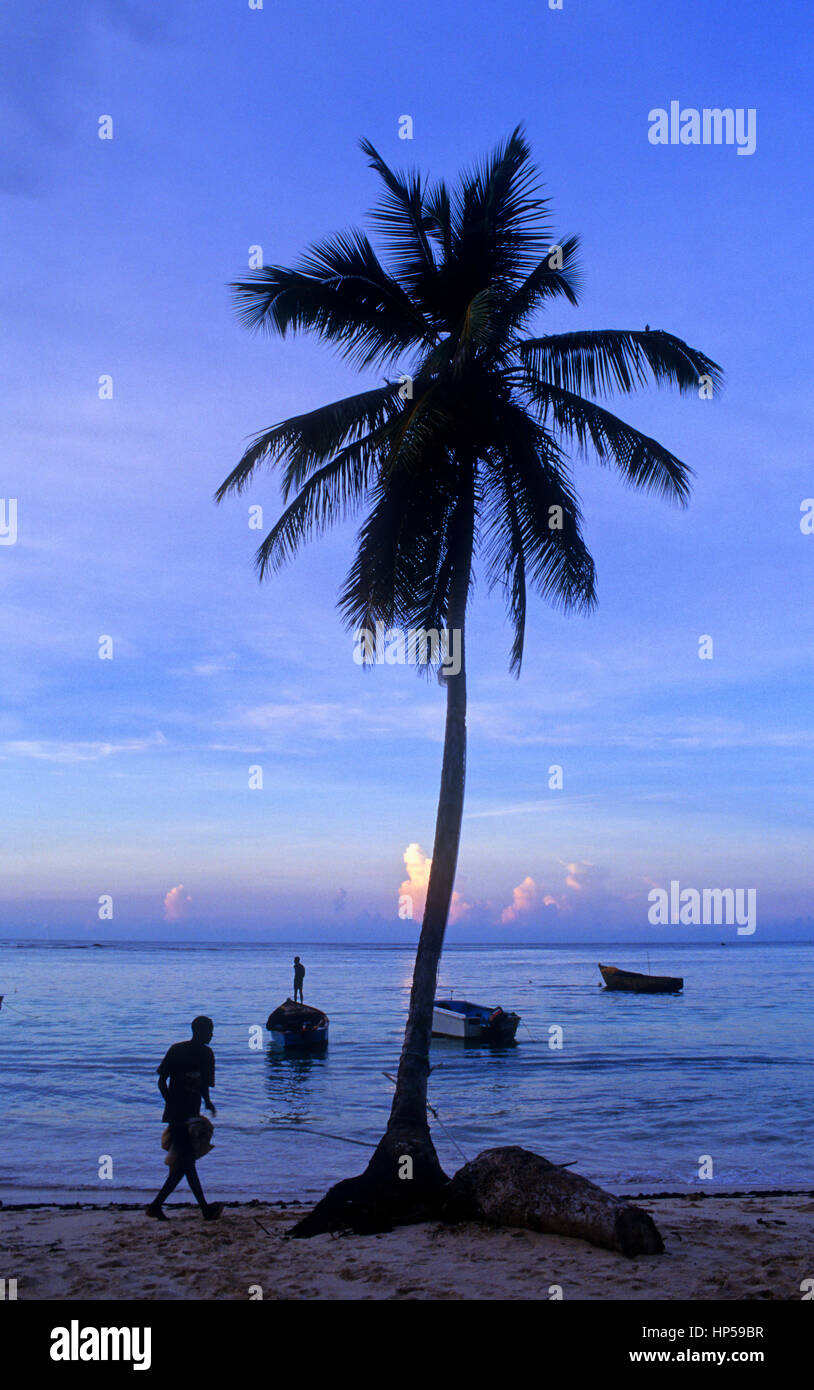 Galeras spiaggia, Las Galeras. Penisola di Samana, Repubblica Dominicana Foto Stock