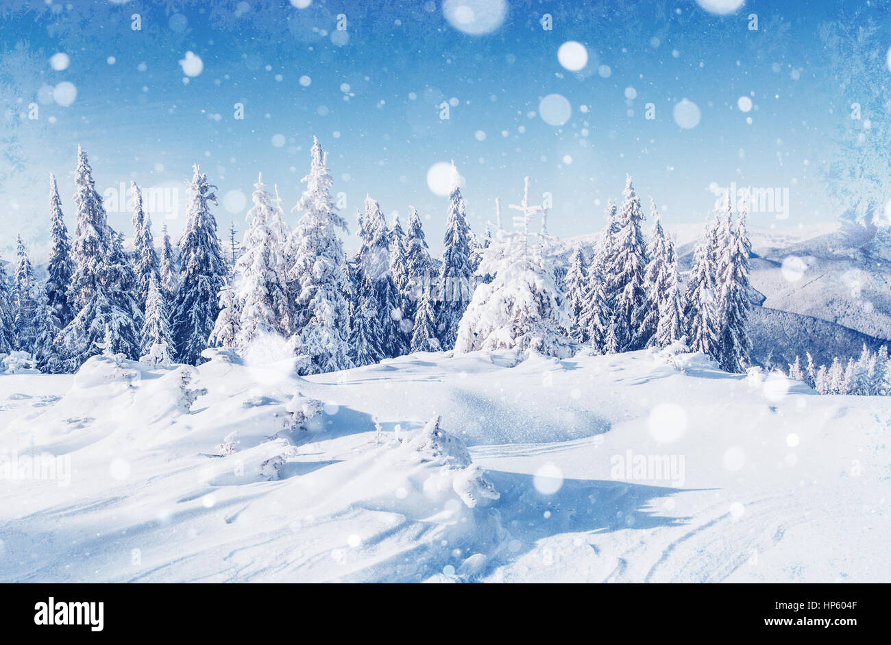 Paesaggio di inverno alberi e recinzioni in brina, sfondo con s Foto Stock