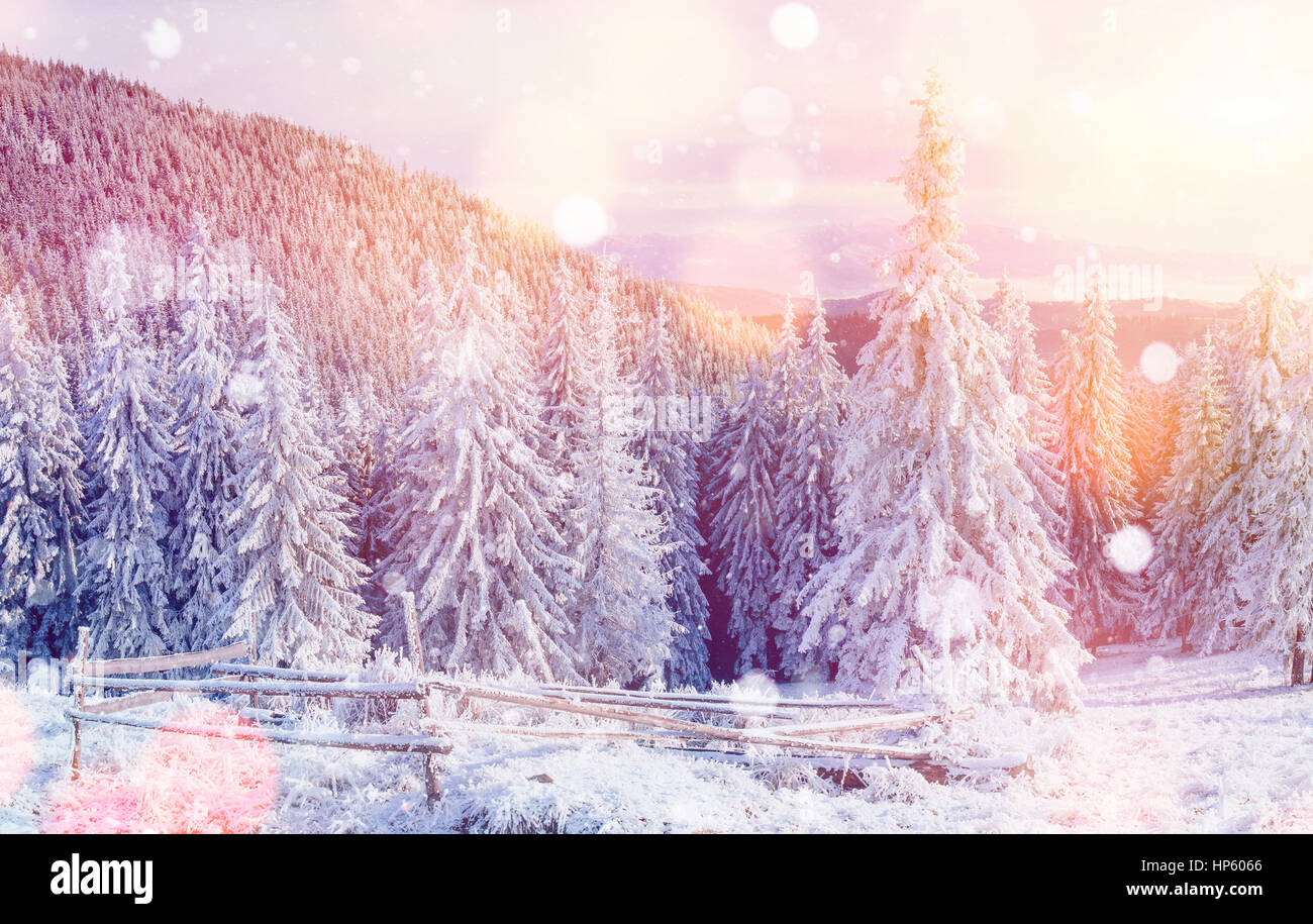 Misterioso paesaggio invernale maestose montagne Foto Stock