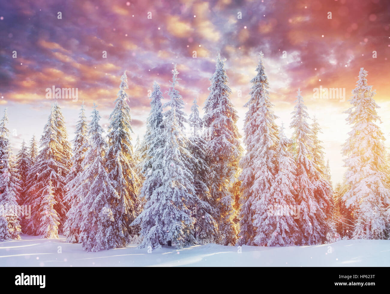 Paesaggio di inverno alberi e recinzioni in brina, sfondo con s Foto Stock