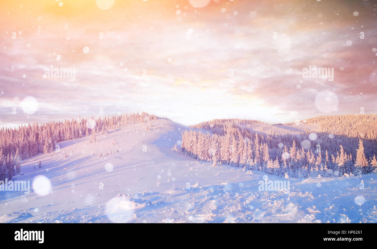 Paesaggio di inverno alberi e recinzioni in brina, sfondo con s Foto Stock