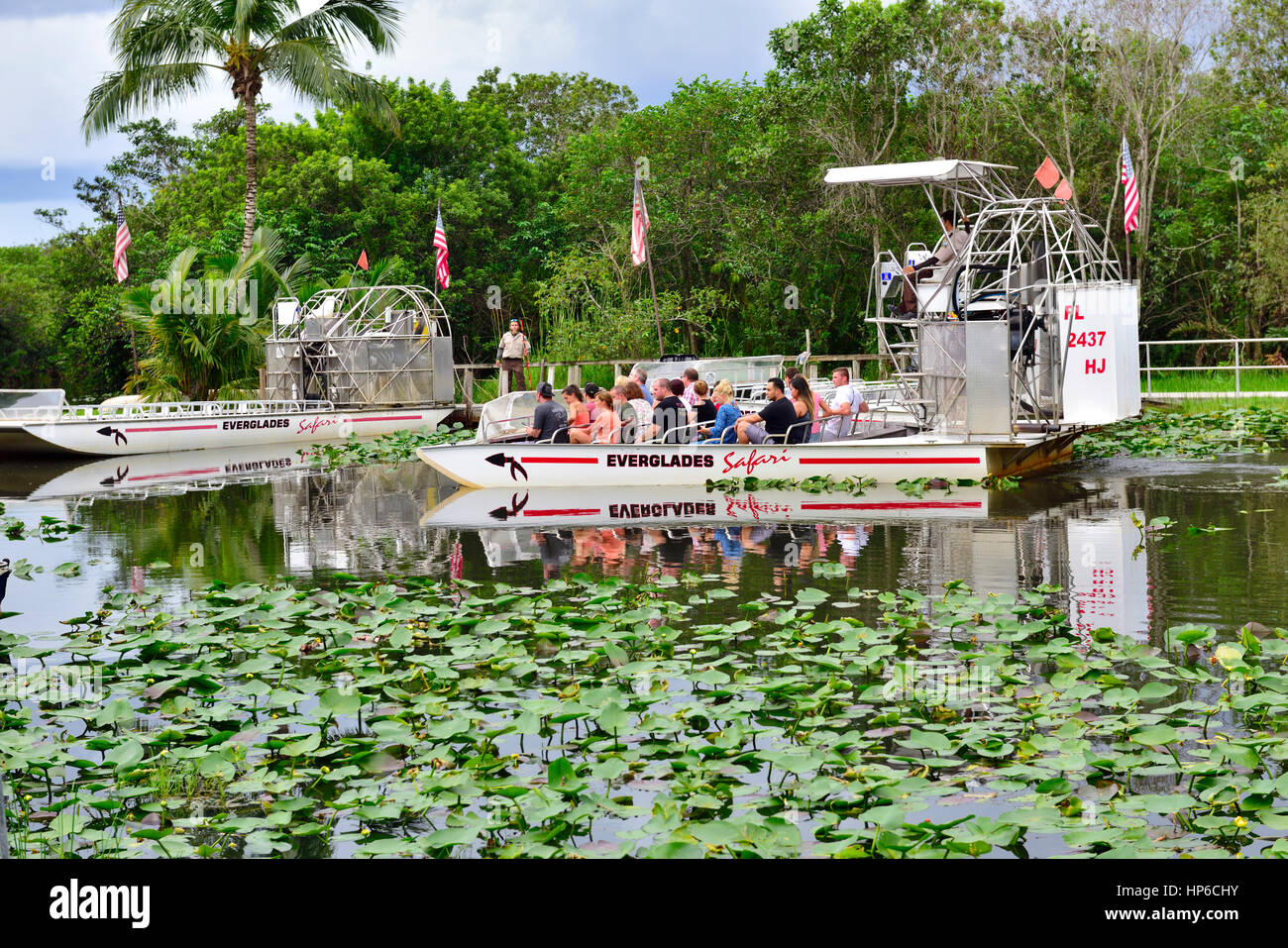 Everglades Safari Idroscivolante visitatore per tour di alligatore, Florida, Stati Uniti d'America Foto Stock