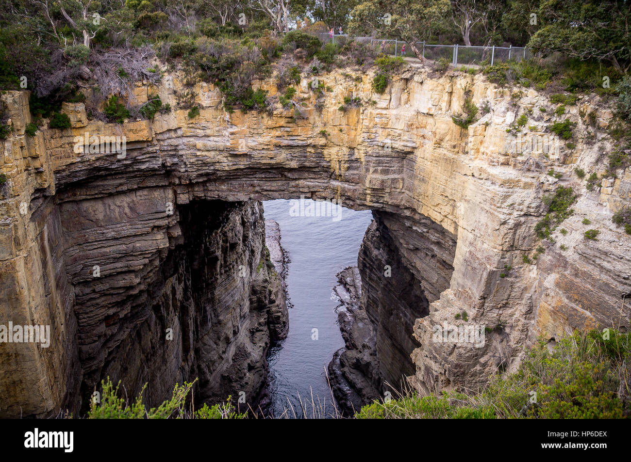 Arco Tasmano, Tasman National Park, la Tasmania, Australia Foto Stock