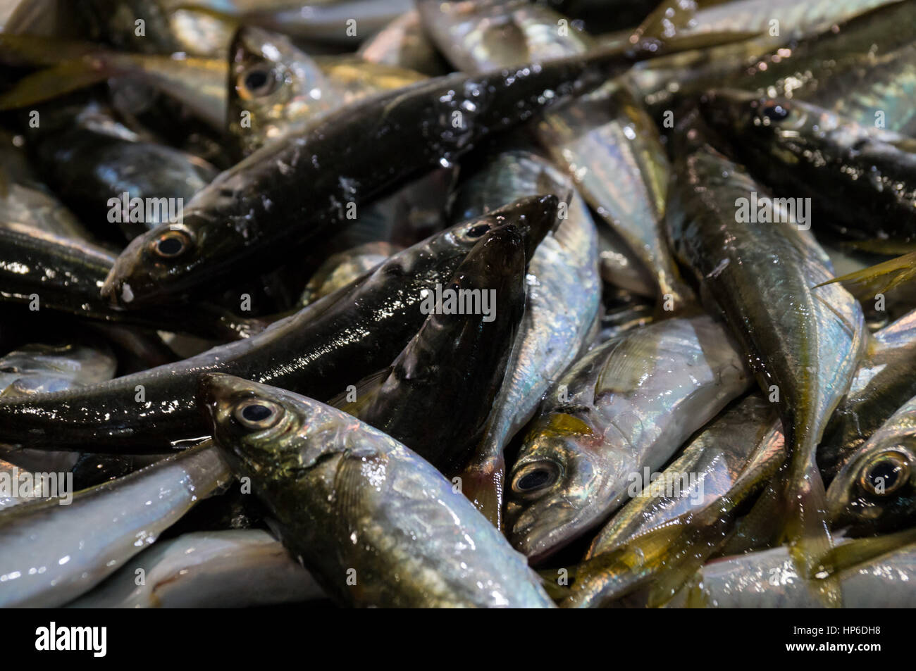 Fresco pesce crudo nel mercato del pesce Foto Stock