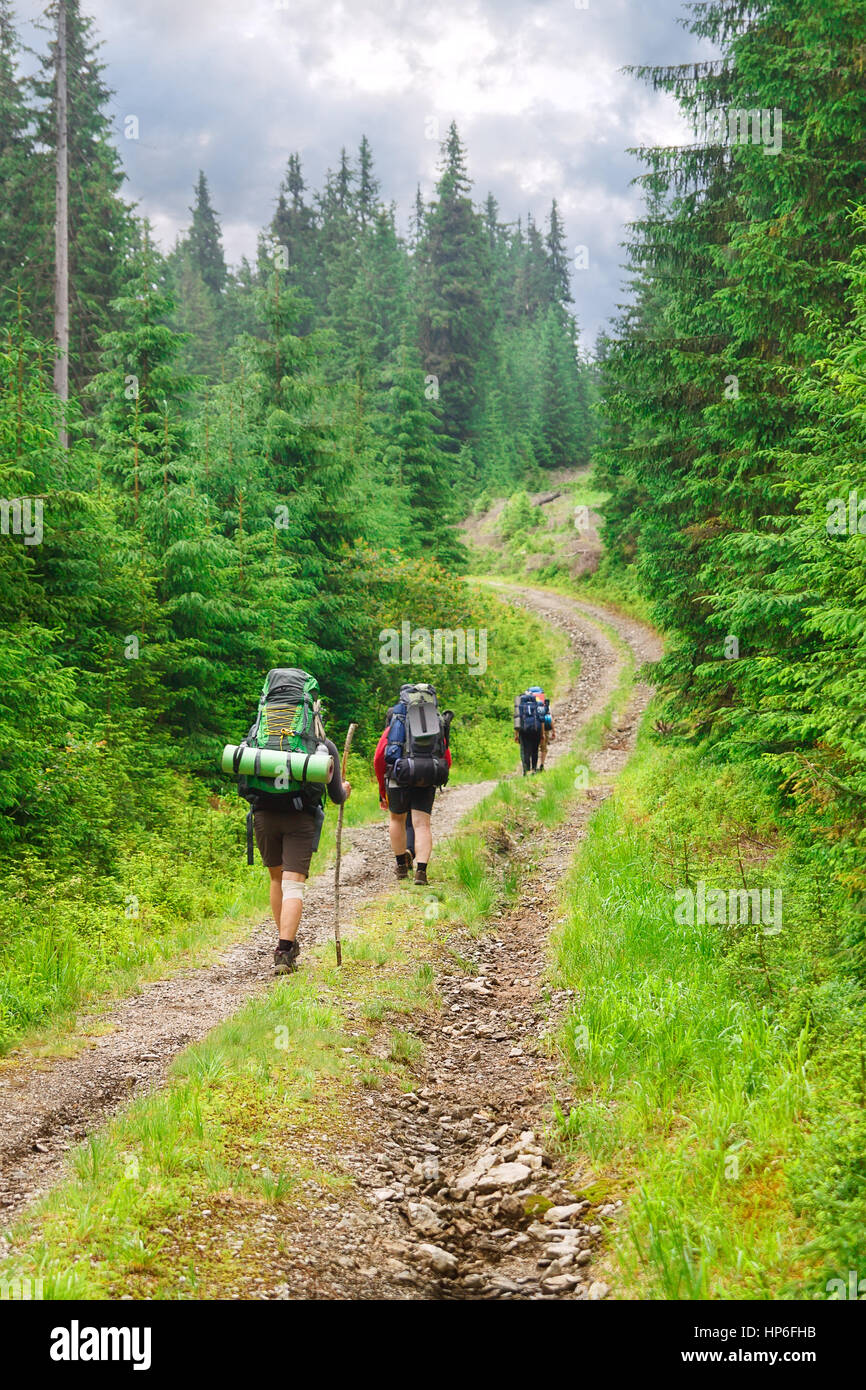 Gruppo di escursionisti su un sentiero attraverso la foresta in montagna. Gruppo di turisti andare con zaini viaggio su strada nella foresta di pini. Vacanze attive Foto Stock