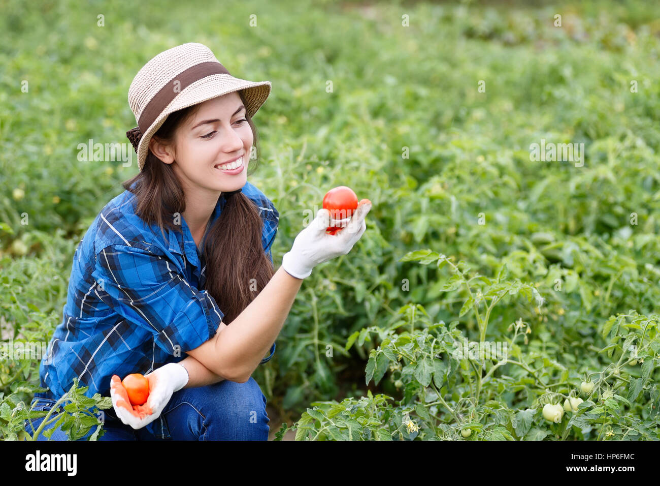 Giovane agricoltore la raccolta di pomodori, foto con copia spazio orizzontale e shot. La donna nel suo giardino la raccolta di pomodori. Felice ragazza giovane con pomodoro. Ha Foto Stock