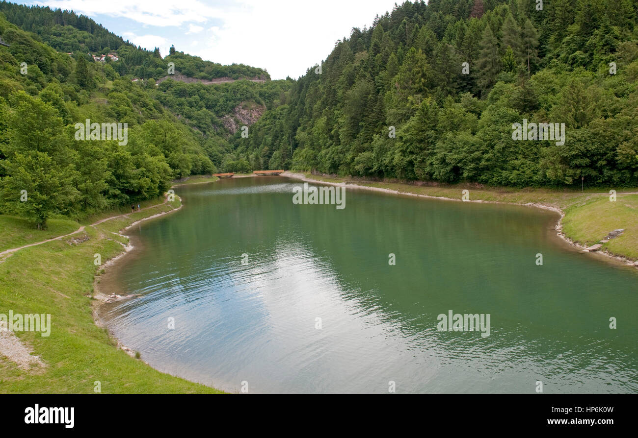 Vicino al lago di Molveno nei pressi di Andalo in Trentino Provincia del nord italia Foto Stock