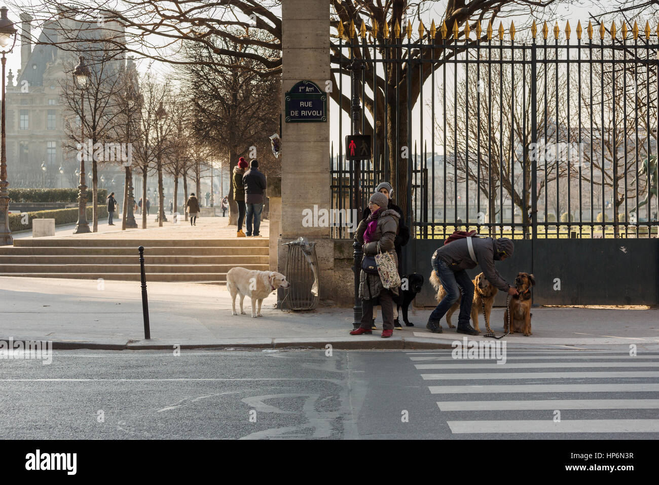 Parigi, Francia - 19 Gennaio 2017 : il popolo di Parigi e i turisti a piedi per le strade e nei parchi della città.La città è piena di luoghi di interesse e BEA Foto Stock