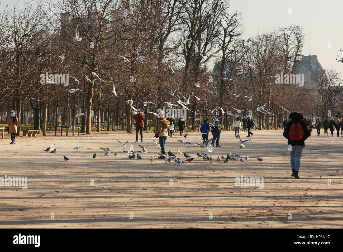 Parigi, Francia - 19 Gennaio 2017 : il popolo di Parigi e i turisti a piedi per le strade e nei parchi della città.La città è piena di luoghi di interesse e BEA Foto Stock