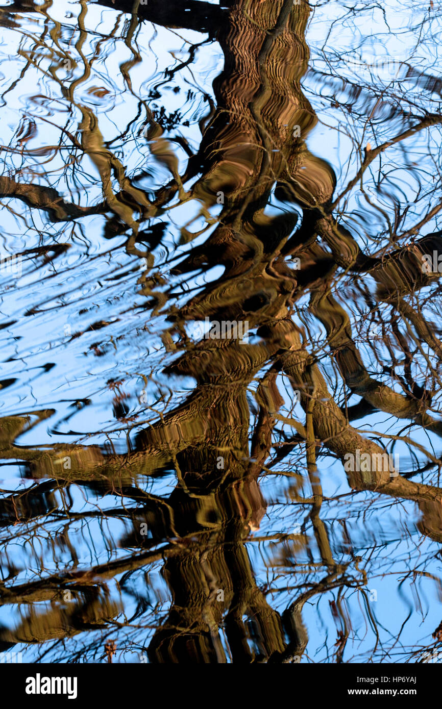Acqua riflessi nella forcella del nord fiume Shenandoah. Foto Stock