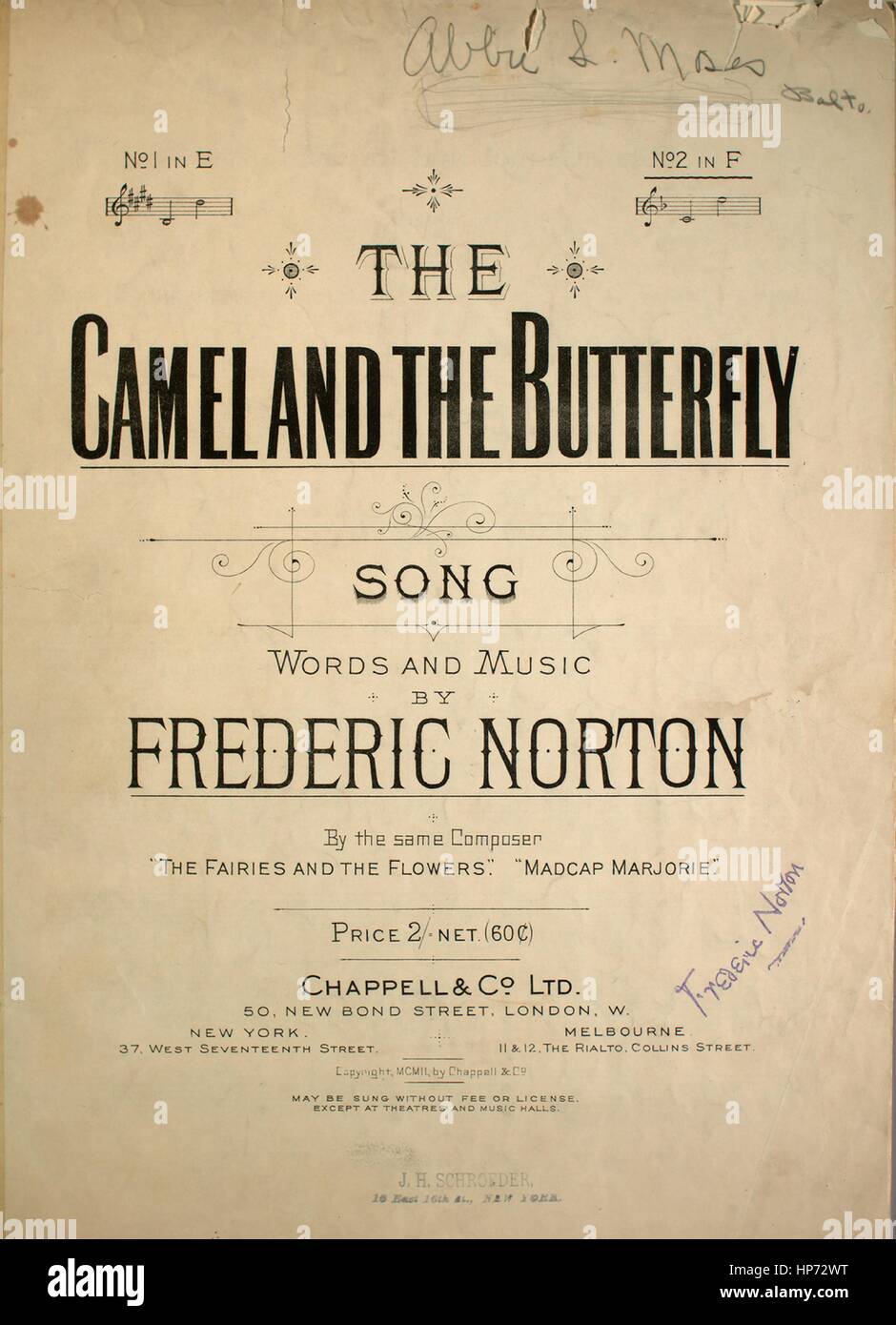 Foglio di musica immagine copertina della canzone "Il cammello e la farfalla Song', con paternitã originale lettura delle note "parole e musica di Frederic Norton, Regno Unito, 1902. L'editore è elencato come 'Chappell & Co. Ltd., 50 New Bond Street', la forma della composizione è 'attraverso-composto', la strumentazione è 'pianoforte e voce", la prima linea recita "una volta viveva un dromedario', e l'illustrazione artista è elencato come 'Nessuno'. Foto Stock