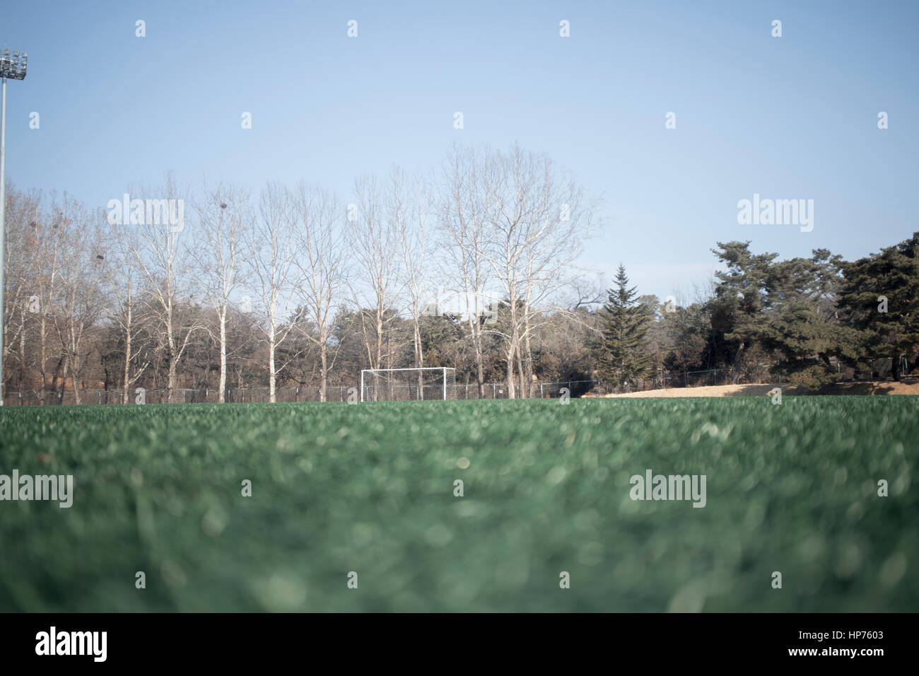 L'erba artificiale football ground : per utilizzo di sfondo, intenzionalmente sfocato. Foto Stock
