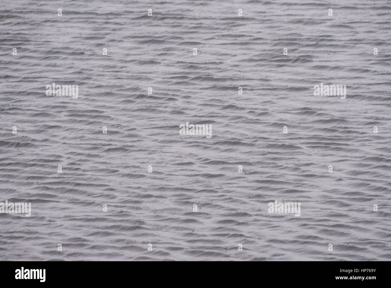 Increspature su un pool di brughiera, Mostra vento pattern soffiata sulla superficie dell'acqua Foto Stock
