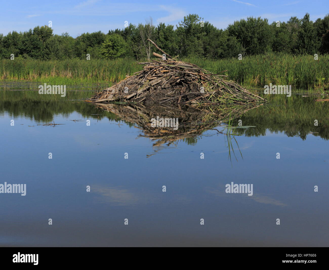 Il Parc national de Plaisance, Quebec, Canada, luglio 2016. Foto Stock