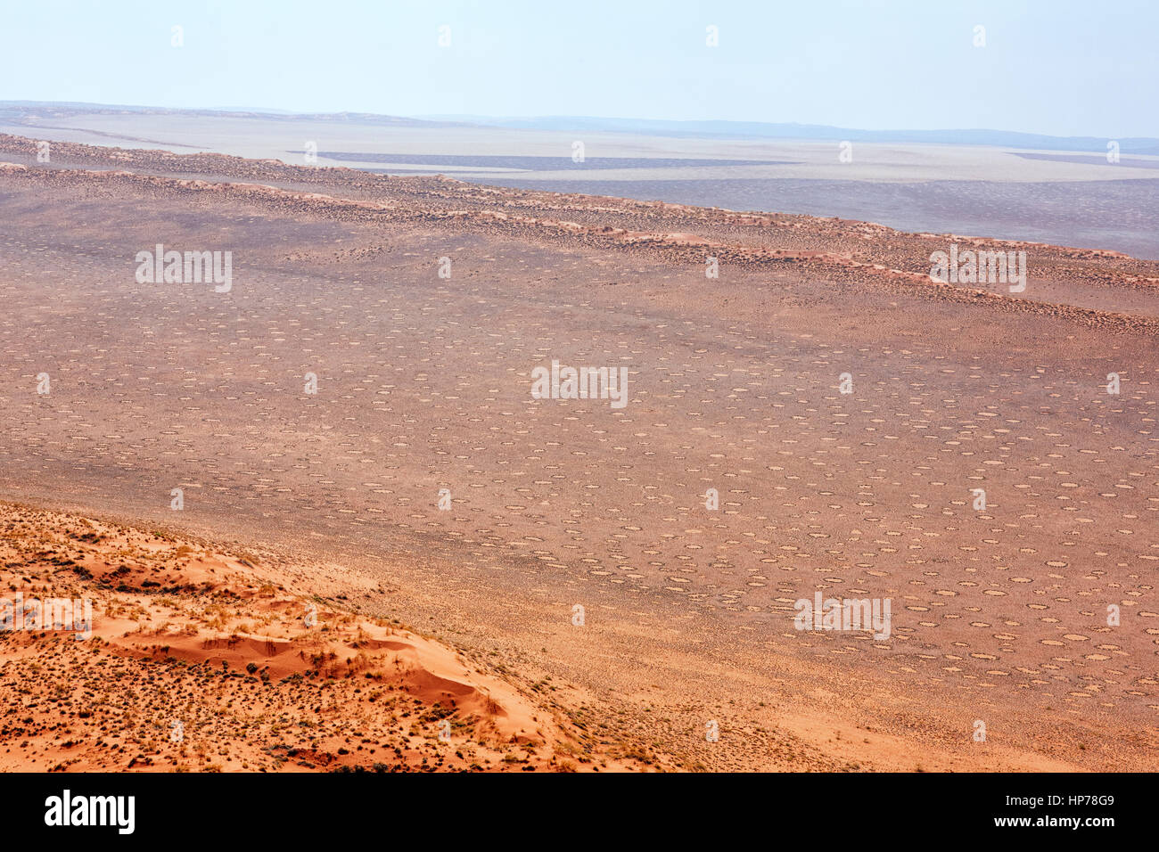 Cerchi di fata, Sesriem, Sossusvlei, Namib-Naukluft National Park, Namibia, Africa Foto Stock