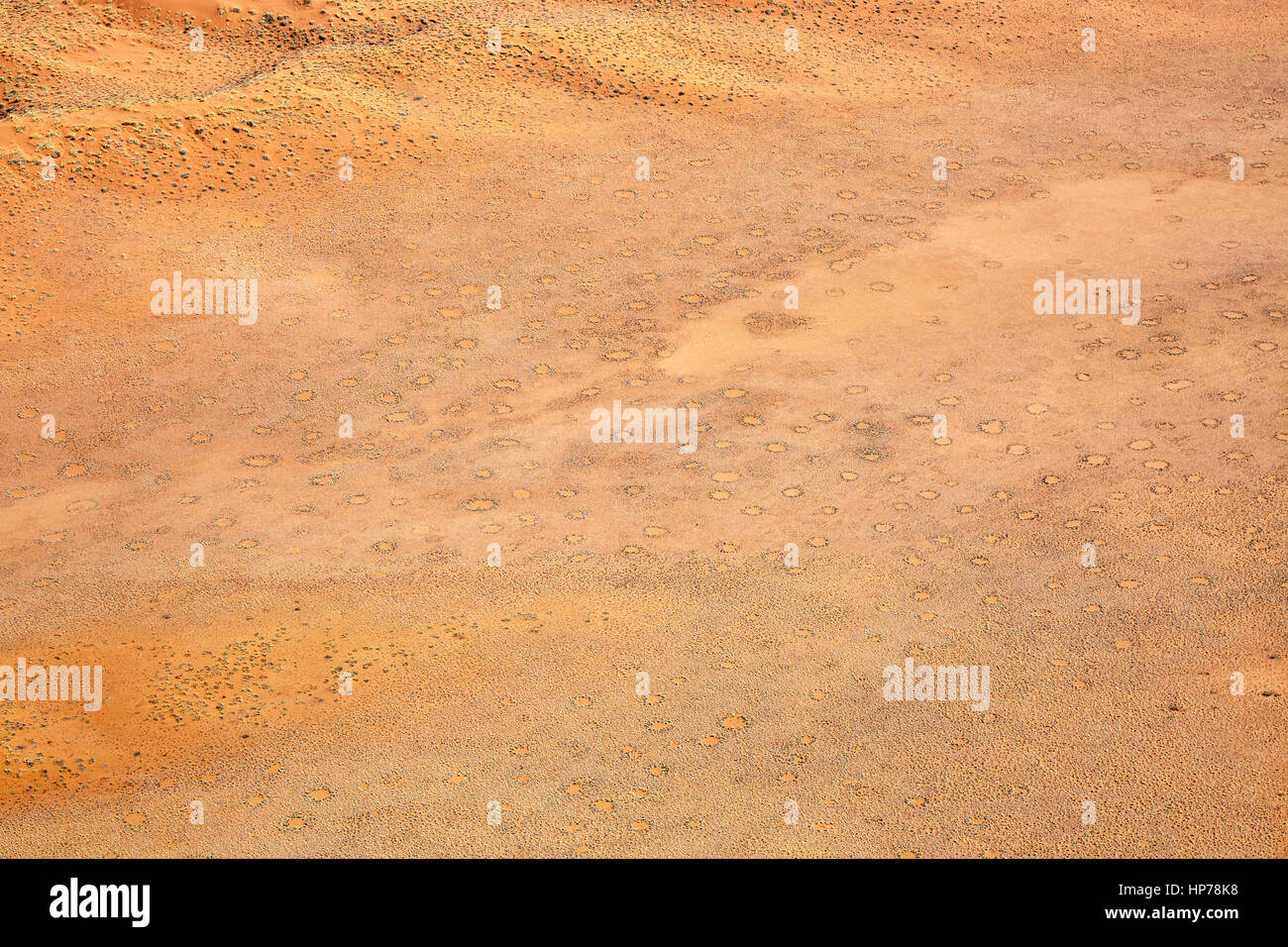 Cerchi di fata, Sesriem, Sossusvlei, Namib-Naukluft National Park, Namibia, Africa Foto Stock