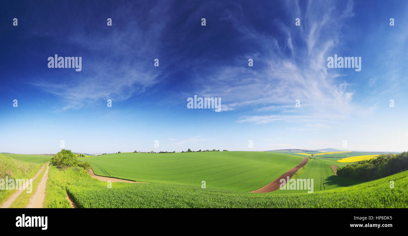 Molla blu cielo. Molla verde erba. Paesaggio di primavera di prato verde. Il bianco delle nuvole in cielo blu. Sfondo colorato con campo verde. Foto Stock