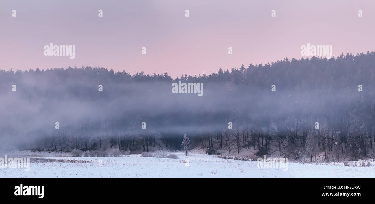 Righe di nebbia bianco sulla neve. Nebbia bianco su sfondo di foresta. Misty inverno mattina sul campo nevoso. Inverno colorato sunrise. Foto Stock