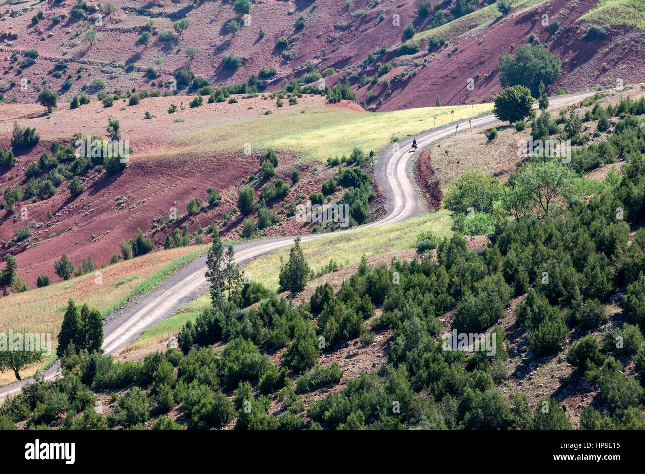 Il Marocco. Vedute panoramiche nel Medio Atlante, vicino a Ouzoud. Foto Stock