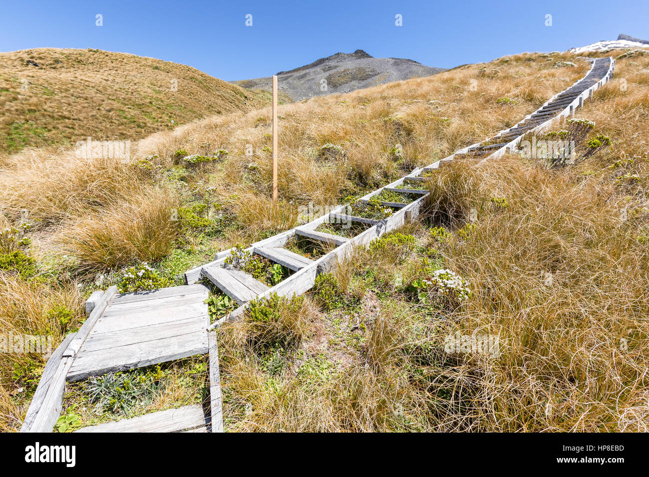 Scale sulla strada per il Monte taranaki, Egmont National Park, Taranaki, Nuova Zelanda Foto Stock