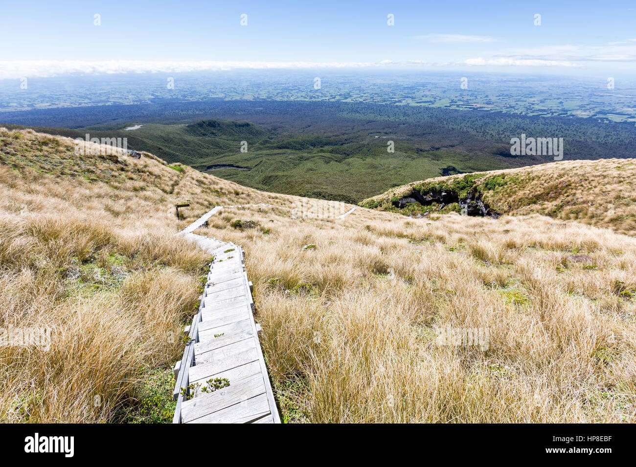 Scale sulla strada per il Monte taranaki, Egmont National Park, Taranaki, Nuova Zelanda Foto Stock