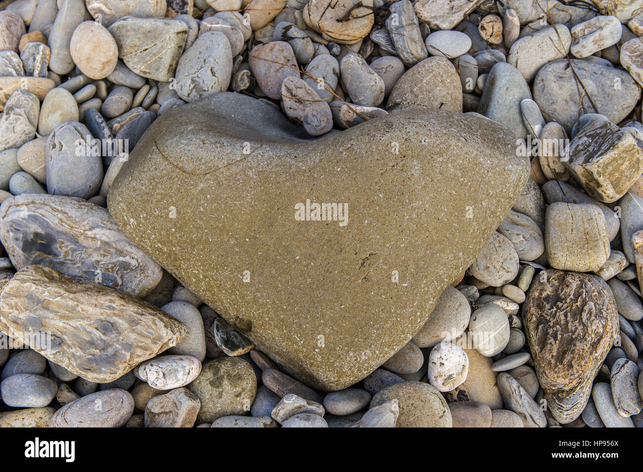 Un cuore di roccia di forma tra i sassi su una spiaggia. Foto Stock