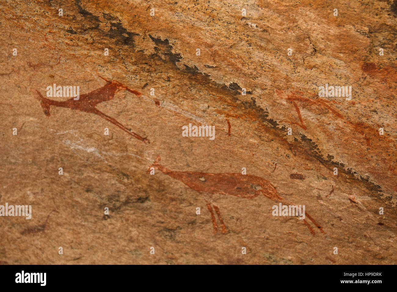 Antiche pitture rupestri montagne africane in Namibia su uno sfondo beige Foto Stock