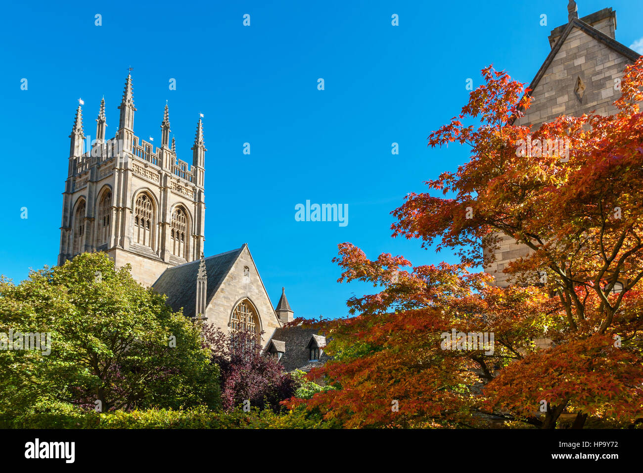 Giardino e la cappella e la torre di Merton College. Università di Oxford, Oxford, Inghilterra Foto Stock
