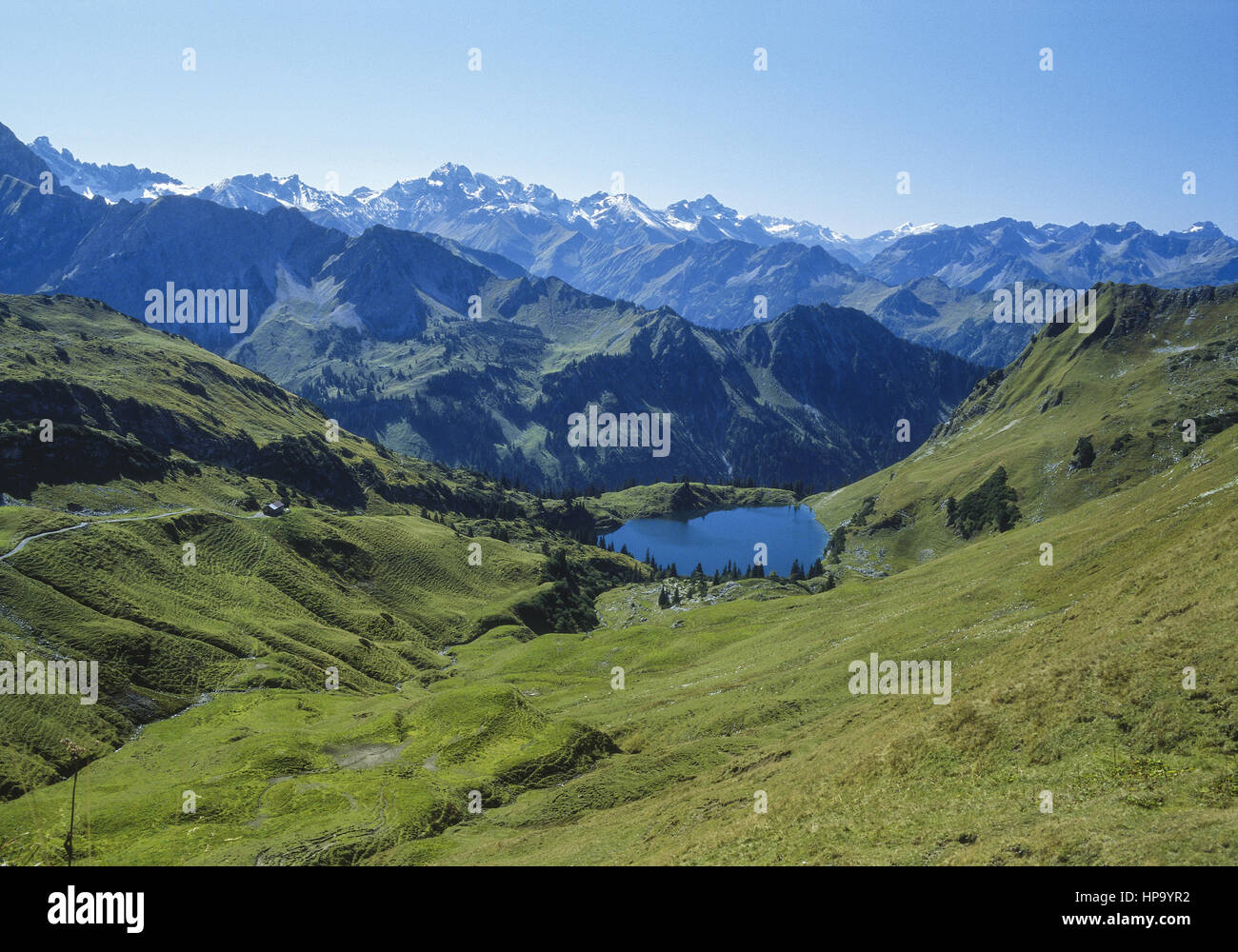Berglandschaft mit bergwiesen und kleinem bergsee, allgaeuer alpen, Bayern Foto Stock