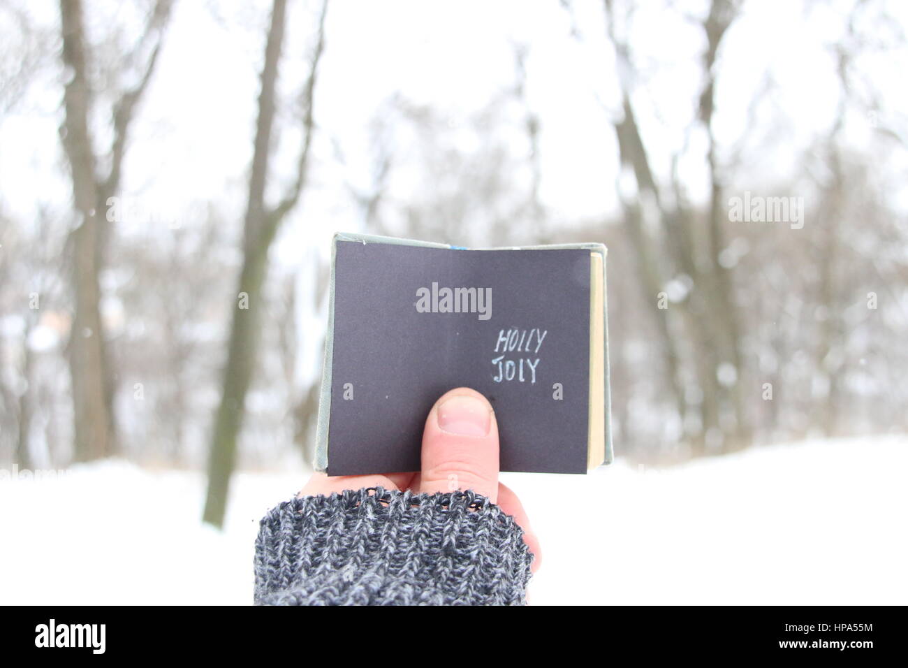 Holly Jolly, uomo in possesso di un libro con la scritta Foto Stock