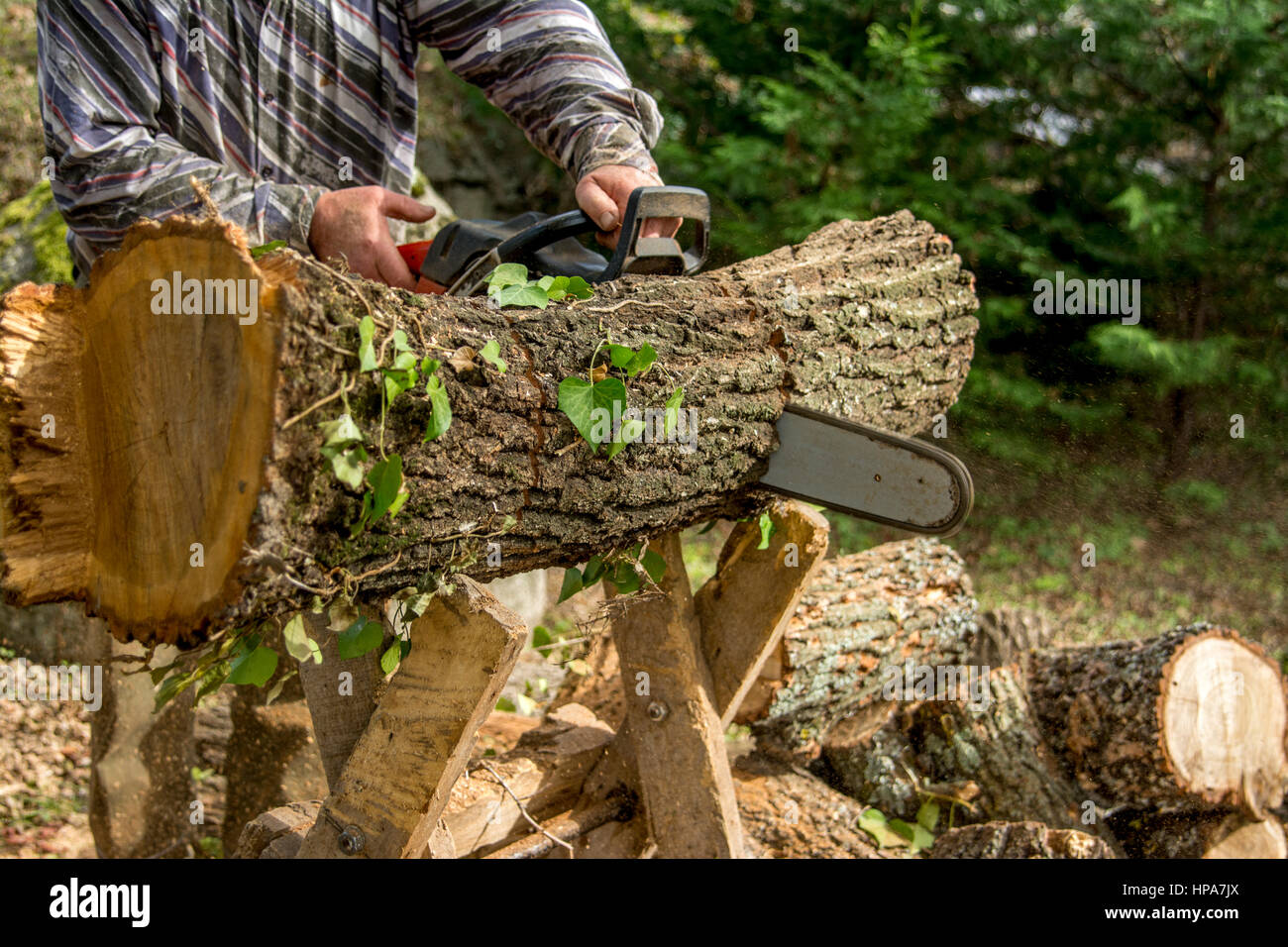 L'uomo utilizzando una motosega per tagliare tramite log Foto Stock