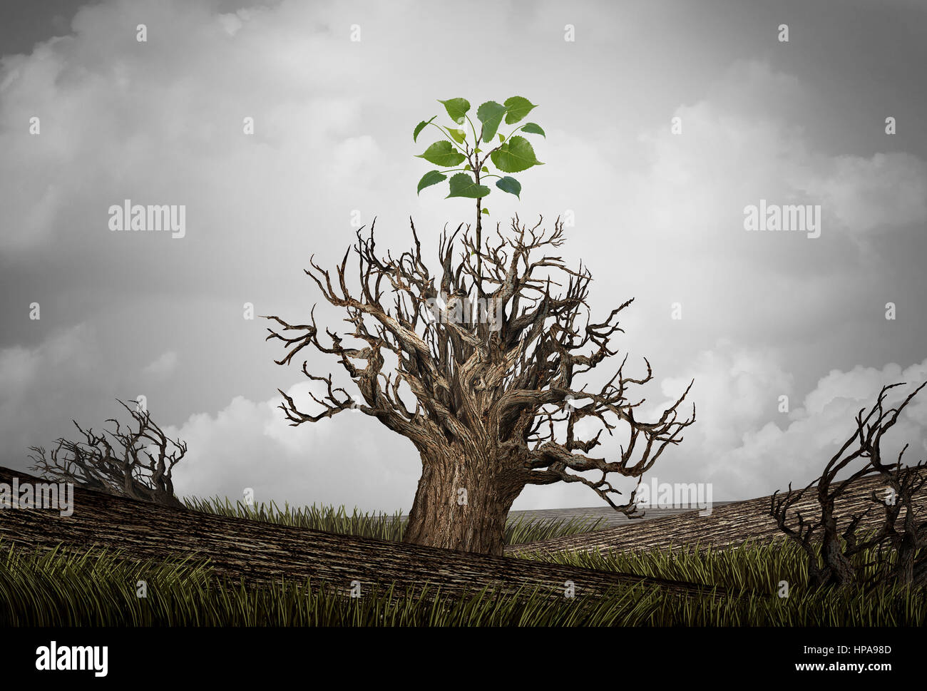 Nuovo inizio e il ciclo di vita concetto di speranza e di ripristino come un alberello di crescita della pianta da un albero morto come una psicologia. Foto Stock
