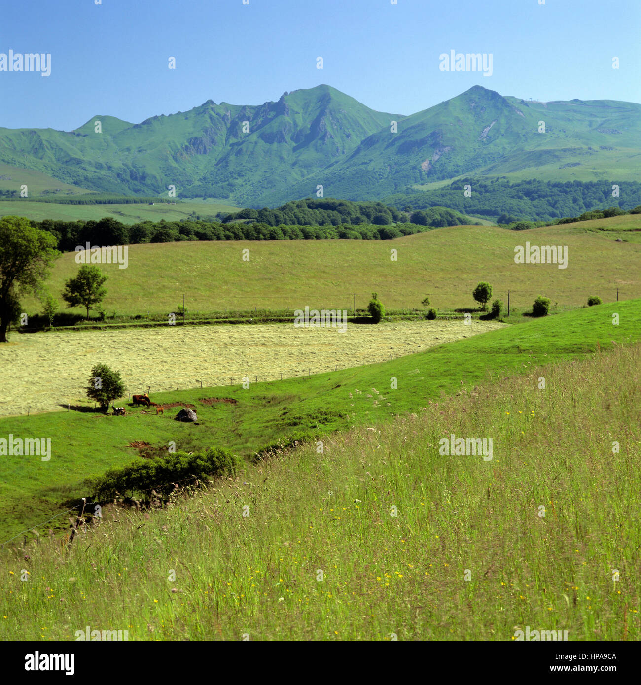 Massiccio del Sancy, Puy de Dome, Auvergne Francia, Europa Foto Stock
