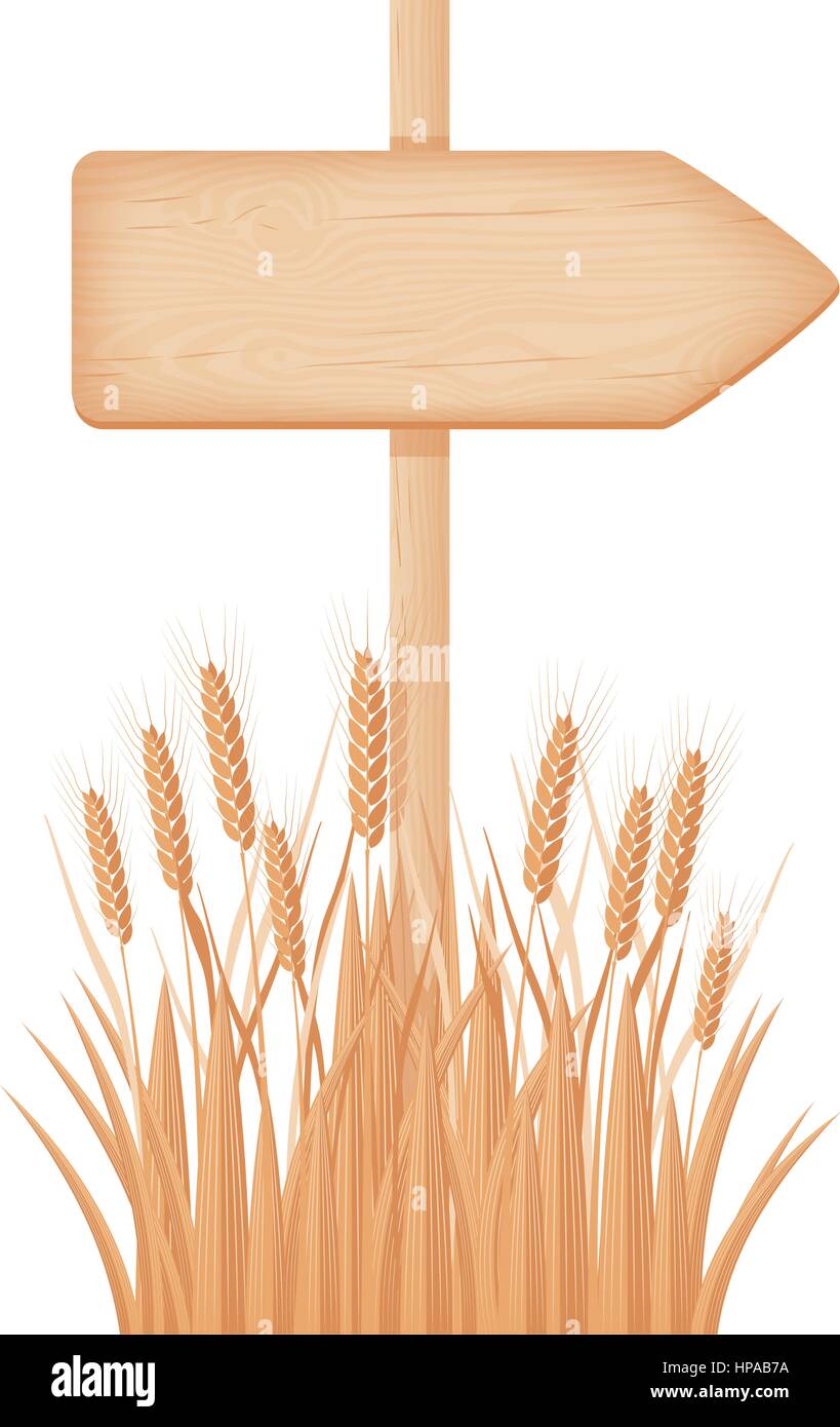 Freccia in legno cartello con nodi e crepe su un palo in corrispondenza del campo di grano illustrazione vettoriale Illustrazione Vettoriale