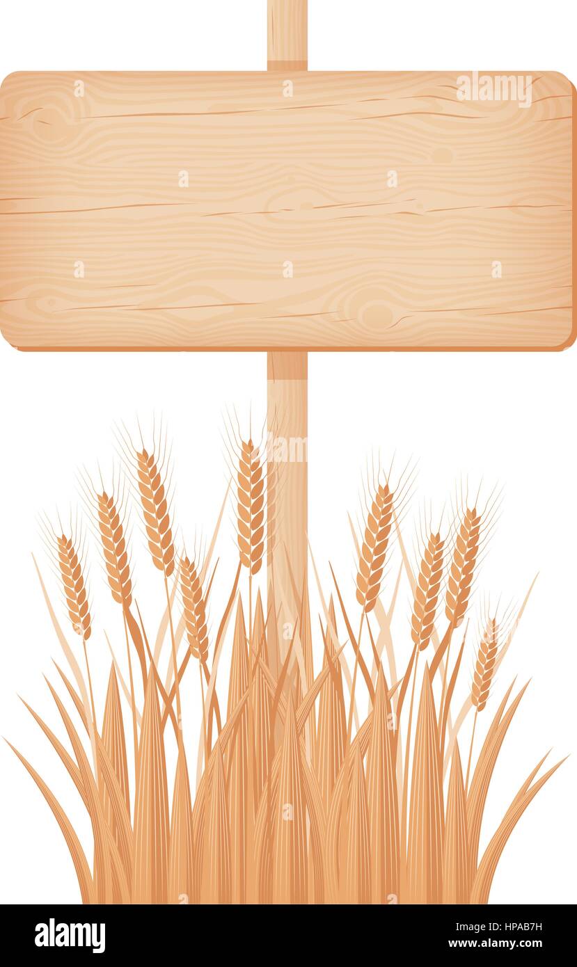 Rettangolare in legno cartello con nodi e crepe su un palo in corrispondenza del campo di grano illustrazione vettoriale Illustrazione Vettoriale