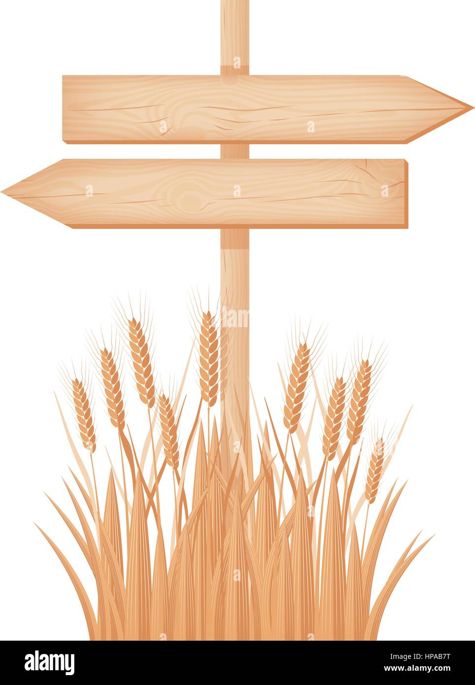 Legno di due frecce opposte cartello con nodi e crepe su un palo in corrispondenza del campo di grano illustrazione vettoriale Illustrazione Vettoriale