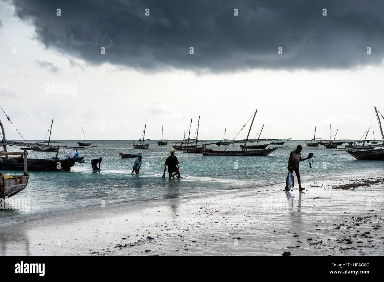 I pescatori portano le loro catture, il tonno albacora, il mercato del pesce in prossimità dell'oceano in Nungwi village, Zanzibar. I concessionari sono pronti a affare per i pesci durante il modo di pescatore al mercato. Essi sono in attesa in riva al mare e cercare di essere veloce per acquistare il miglior pesce. I concessionari di rivendere ad un prezzo più elevato nel mercato del pesce. Foto Stock