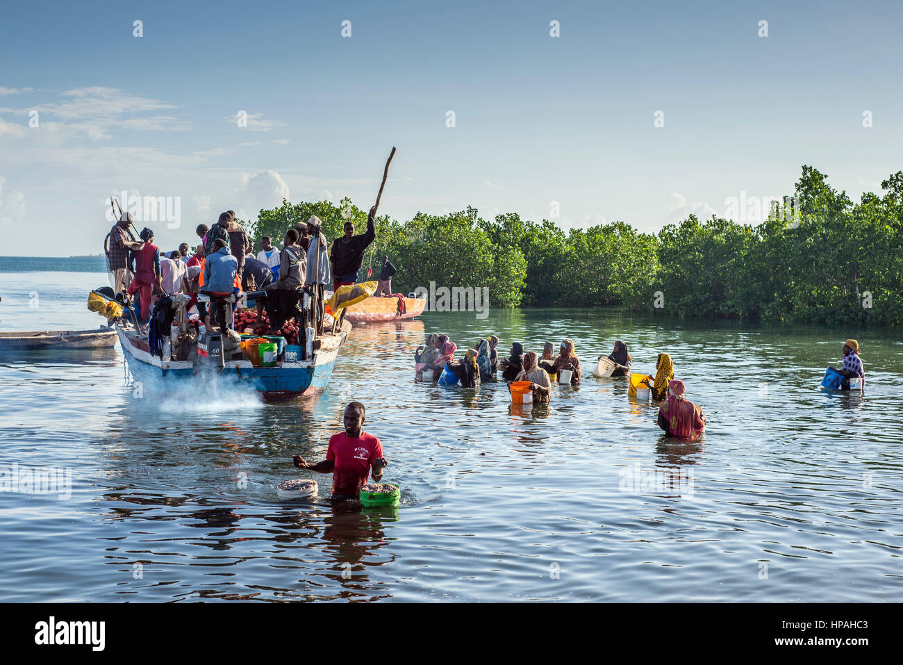 La gente a piedi attraverso acqua con secchi nella loro mano per acquistare acciughe, localmente chiamato Dagaa, dalle barche di pescatori nel villaggio di Mkokotoni, Zanzibar. Queste persone lavorano come corrieri di pesce, prendono il pesce da barche e portarlo ai clienti che poi preparare il pesce per l'asciugatura. Foto Stock