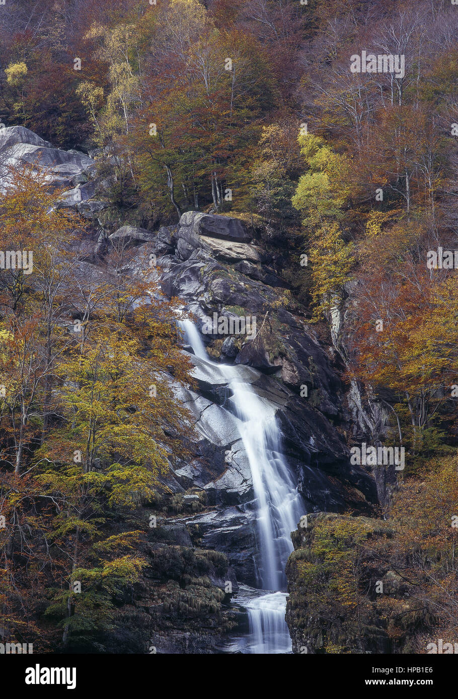Wasserfall in herbstlichem laubwald, Tessin, Schweiz Foto Stock