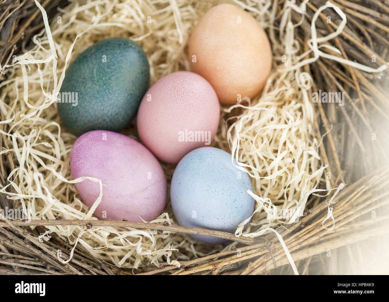 Bunte ostereier in osternest Foto Stock