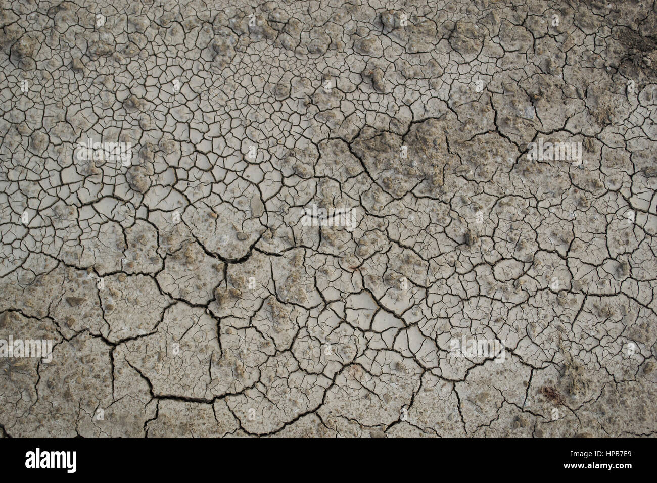 Crack sfondo del suolo, il riscaldamento globale effetto. Foto Stock