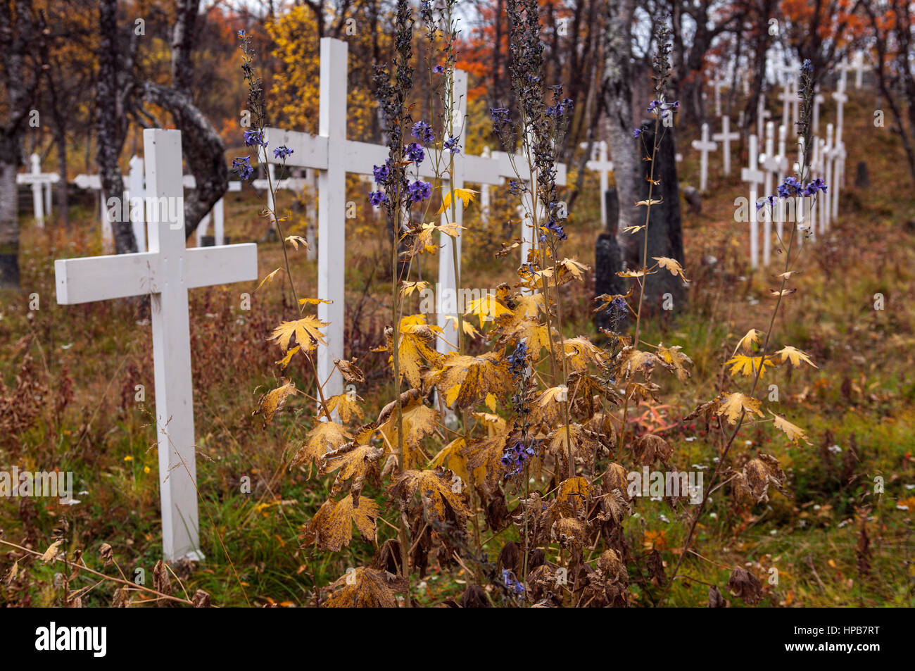 Il cimitero di colorati in autunno autunno. Tronco di betulla questo lato le croci bianche. Foto Stock