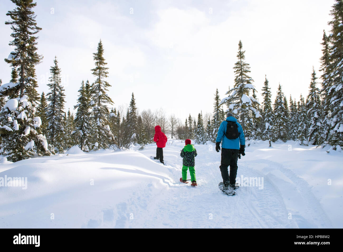 Escursioni con le racchette da neve in famiglia, Northern Quebec Foto Stock