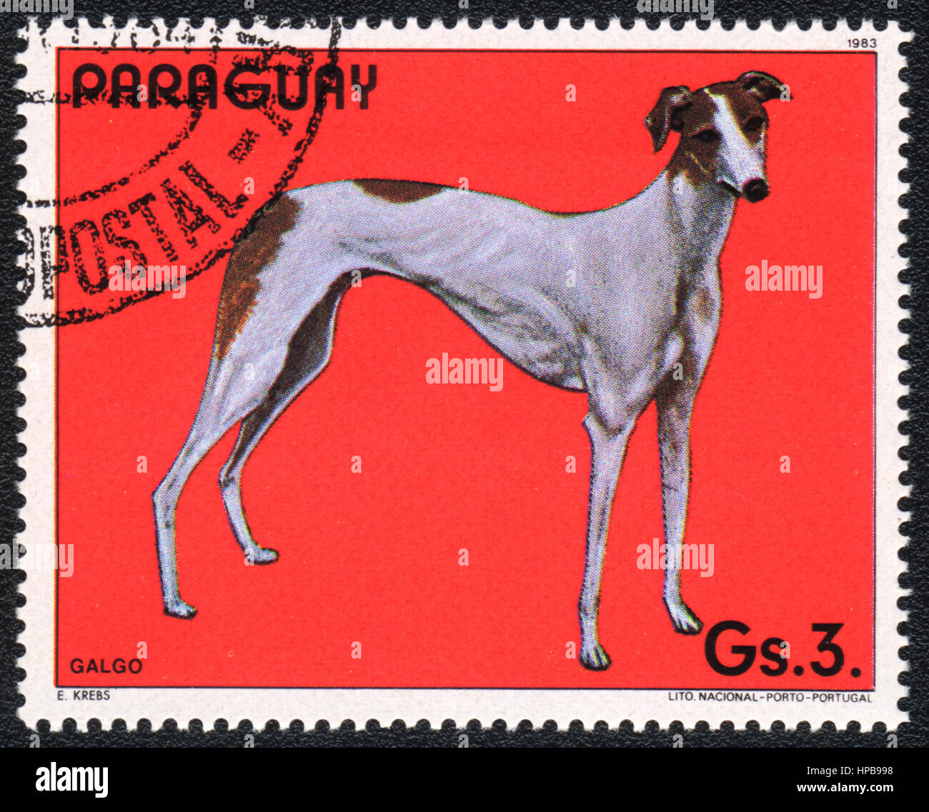 Un timbro stampato in Paraguay mostra un levriero spagnolo (Galgo), dalla serie razza di cani, circa 1983 Foto Stock
