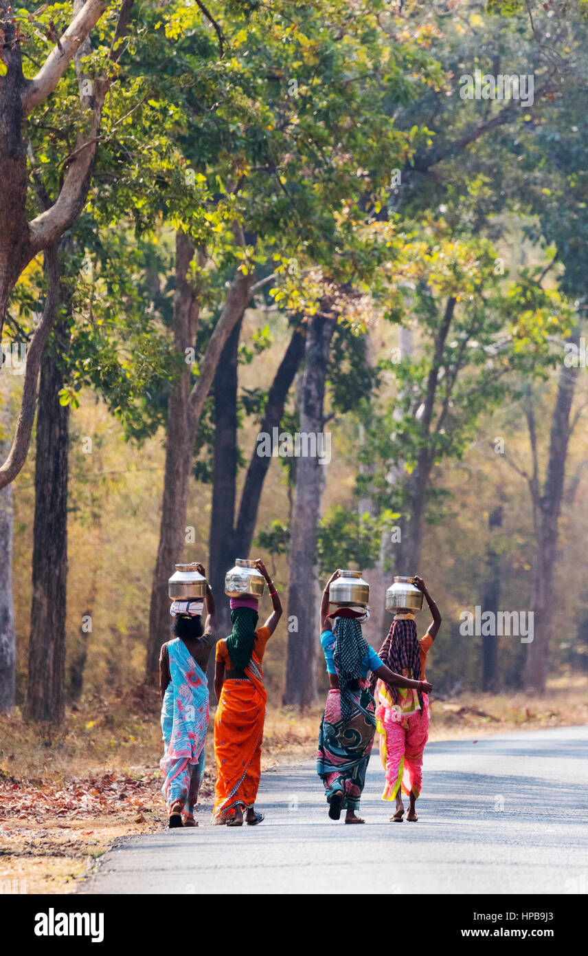 Le donne indiane che trasportano zucche sulle loro teste a piedi lungo la strada, nello Stato del Maharashtra, India Asia Foto Stock