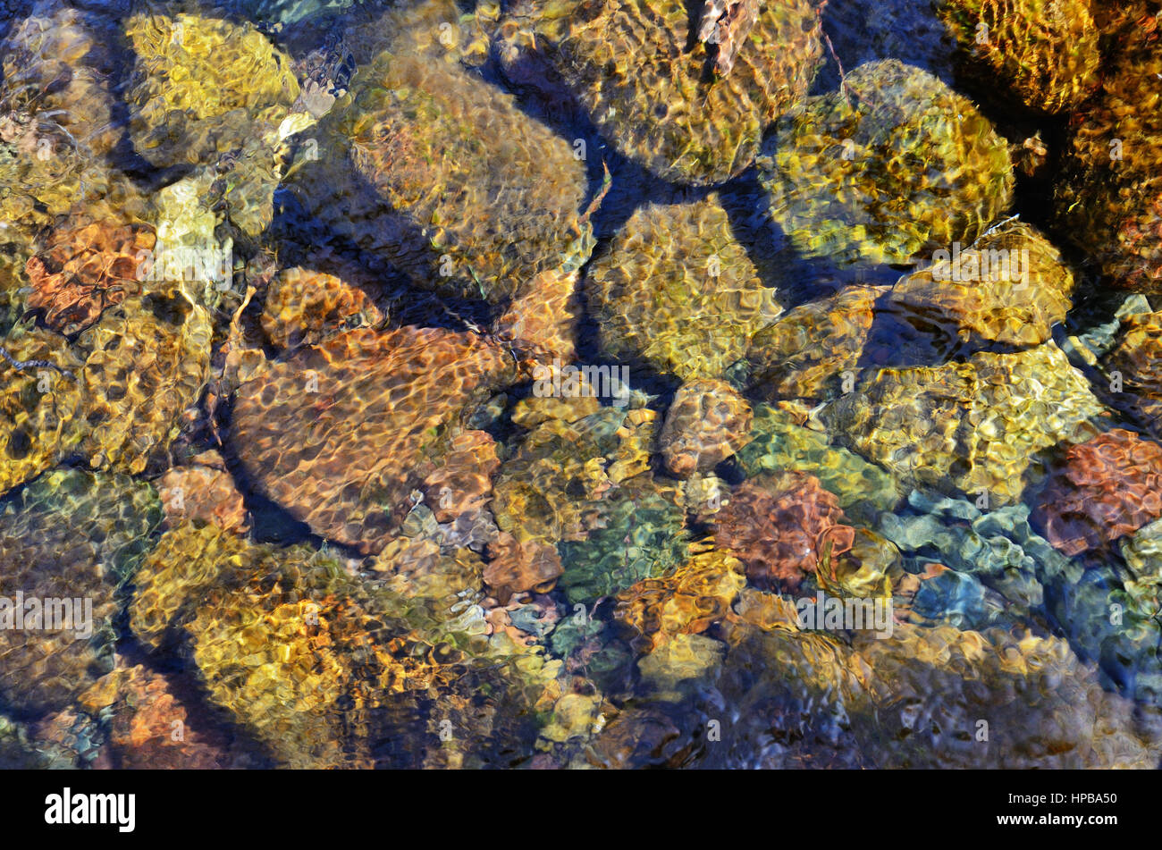 Close-up di pietre attraverso acqua limpida che scorre Foto Stock