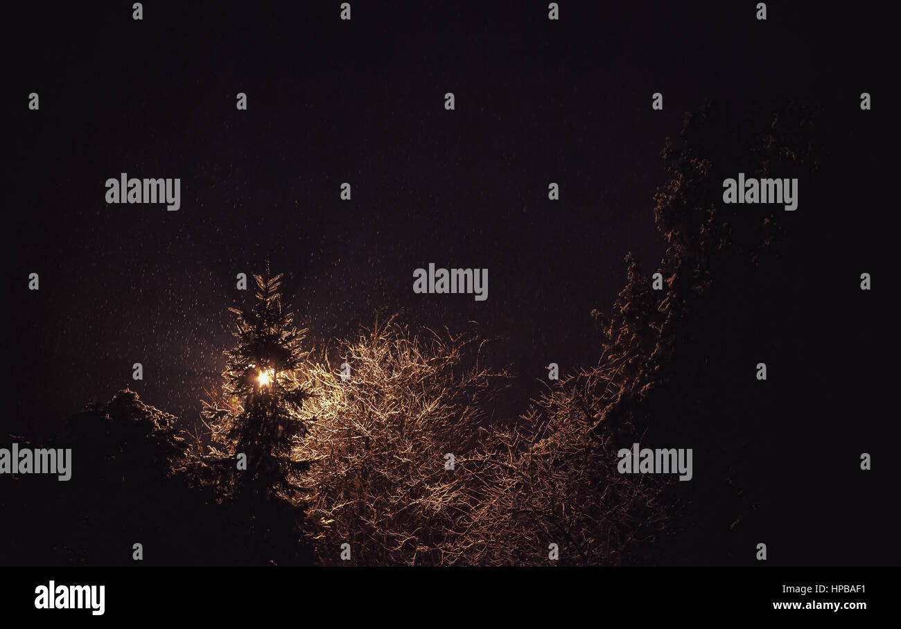 Composizione astratta di luce, alberi e neve durante la notte. Foto Stock
